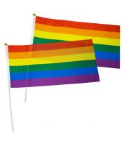 LGBTQIA+ Pride Hand Flags