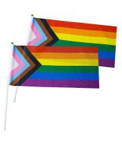 LGBTQIA+ Progress Pride Hand Flags